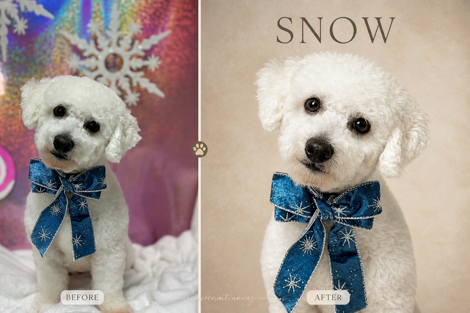 Turn Your Pet Into Timeless Art | Custom Minimalist Pet Portrait