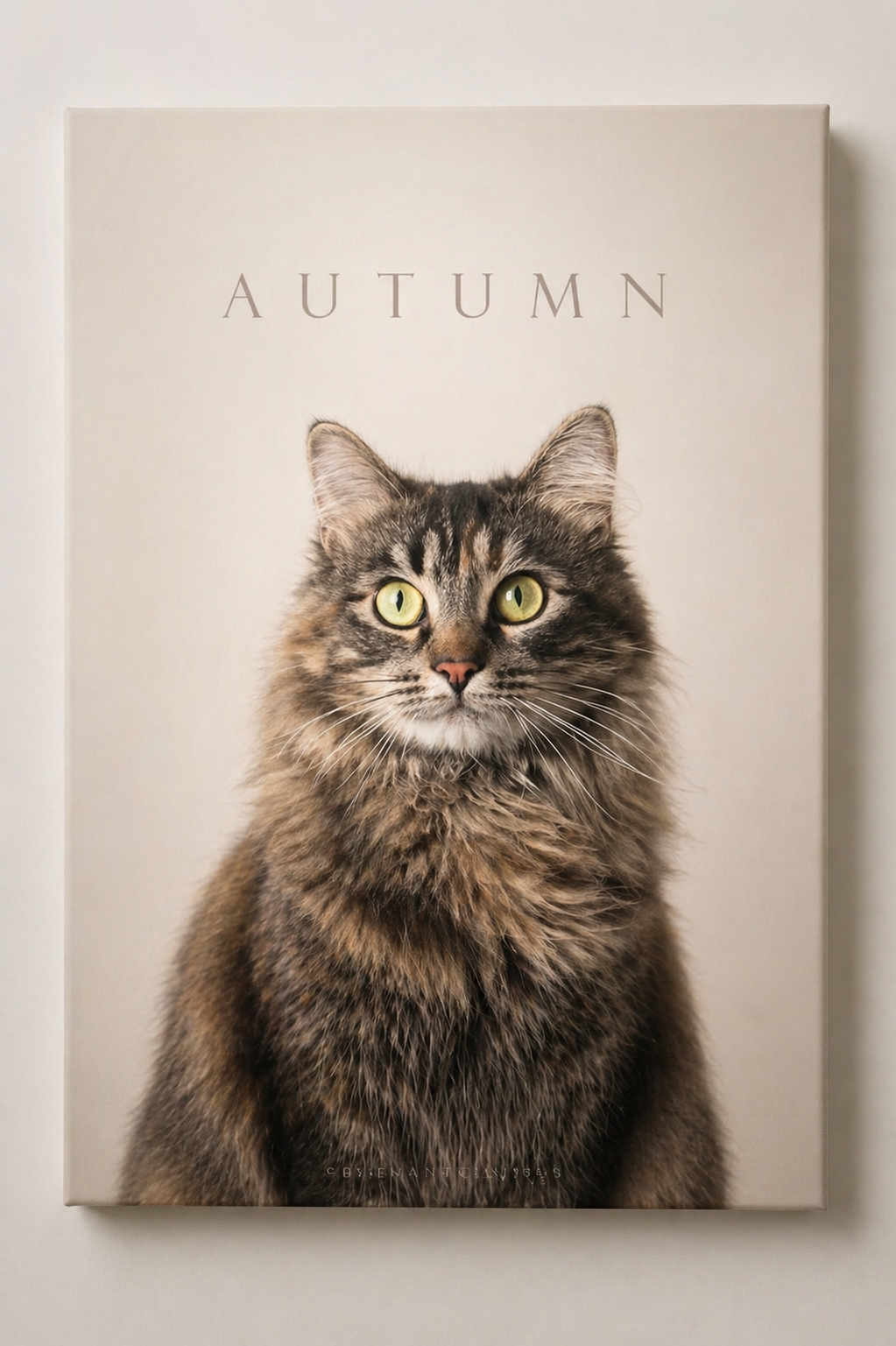 Turn Your Pet Into Timeless Art | Custom Minimalist Pet Portrait